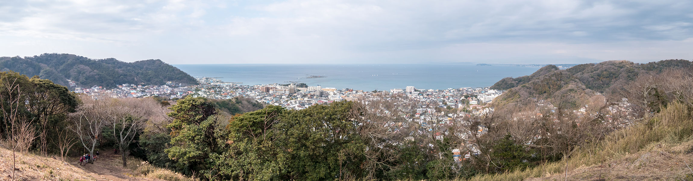 三浦アルプス - 仙元山山頂